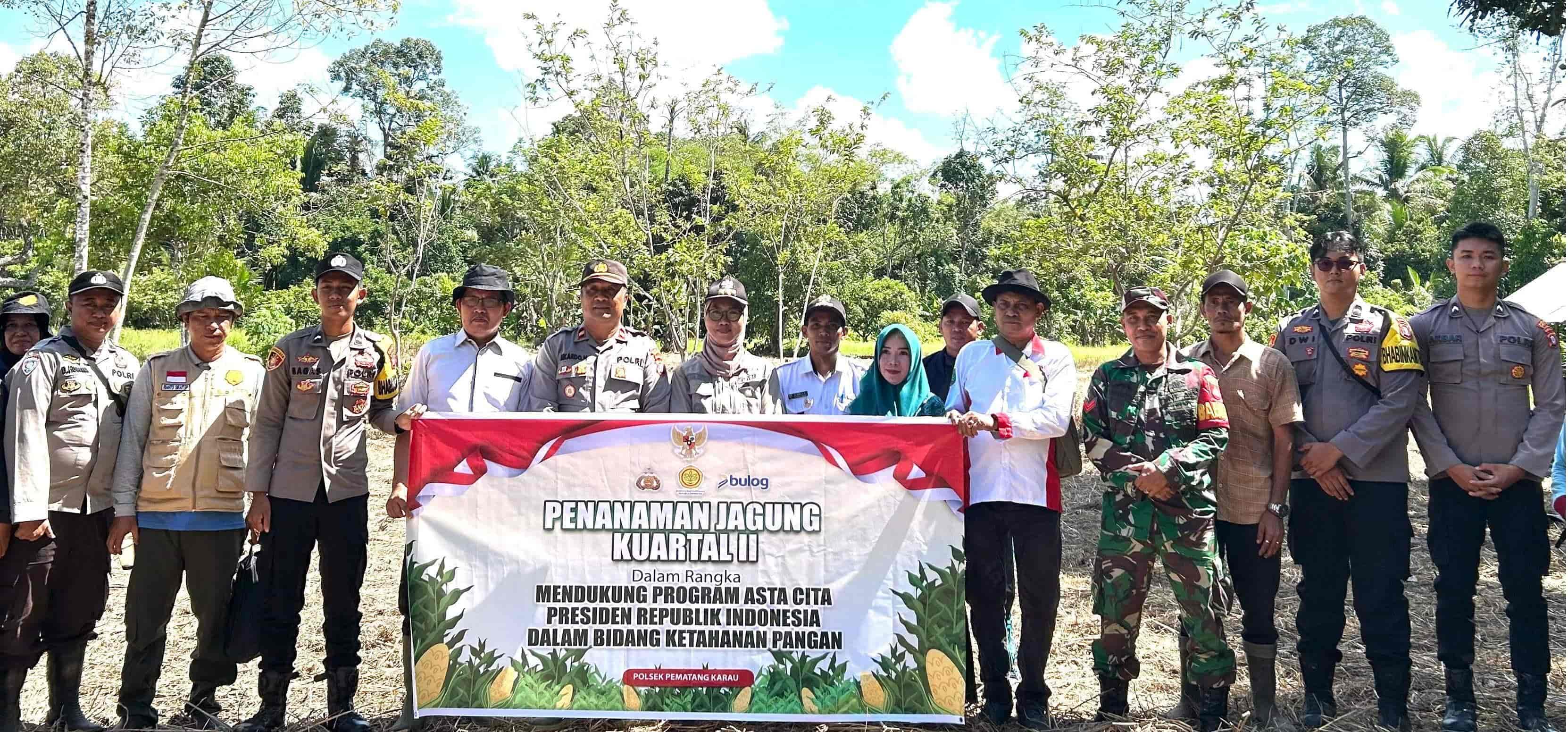 camat-pematang-karau-tanam-jagung-pipil-program-ketahanan-pangan-di-desa-nagaleah